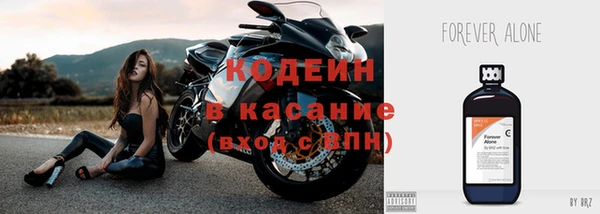 бошки Белокуриха