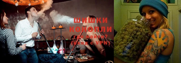 бошки Белокуриха