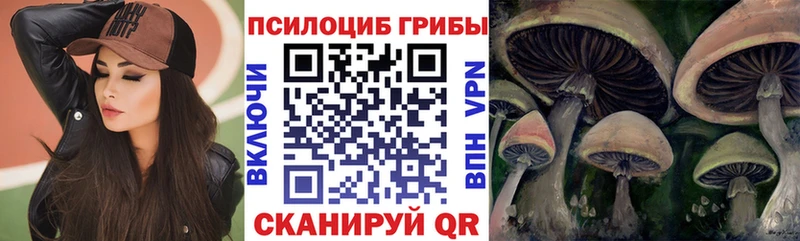 дарк нет формула  Железноводск  Галлюциногенные грибы MAGIC MUSHROOMS 